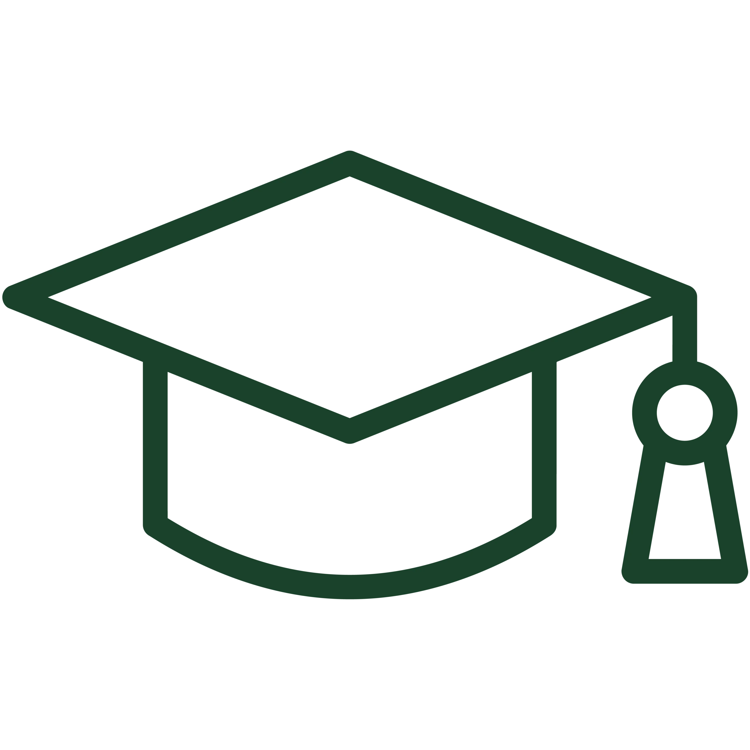 Green graduation cap icon representing Zach Lahn’s plan to improve Iowa’s public schools and reduce