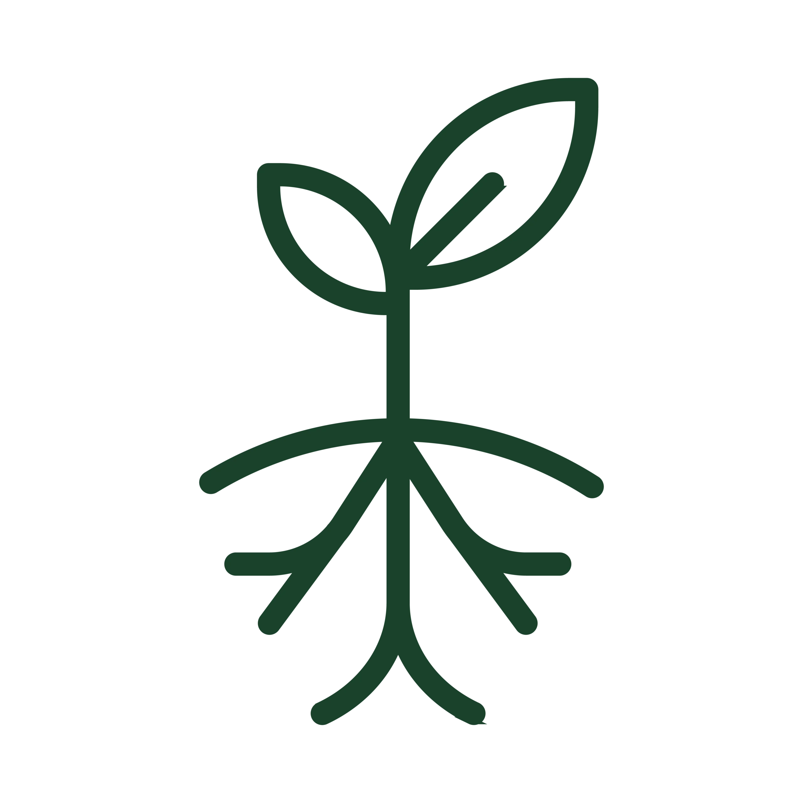 Green icon depicting a sprouting plant with roots, symbolizing Zach Lahn’s Iowa First plan